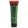 Amsterdam Standard Akryl 20ml – 618 Permament Green Light