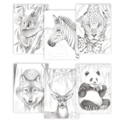 Clairefontaine Odelia Fargeleggingsbok A4 – Animals