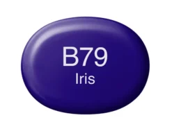 Copic Marker Sketch – B79 Iris