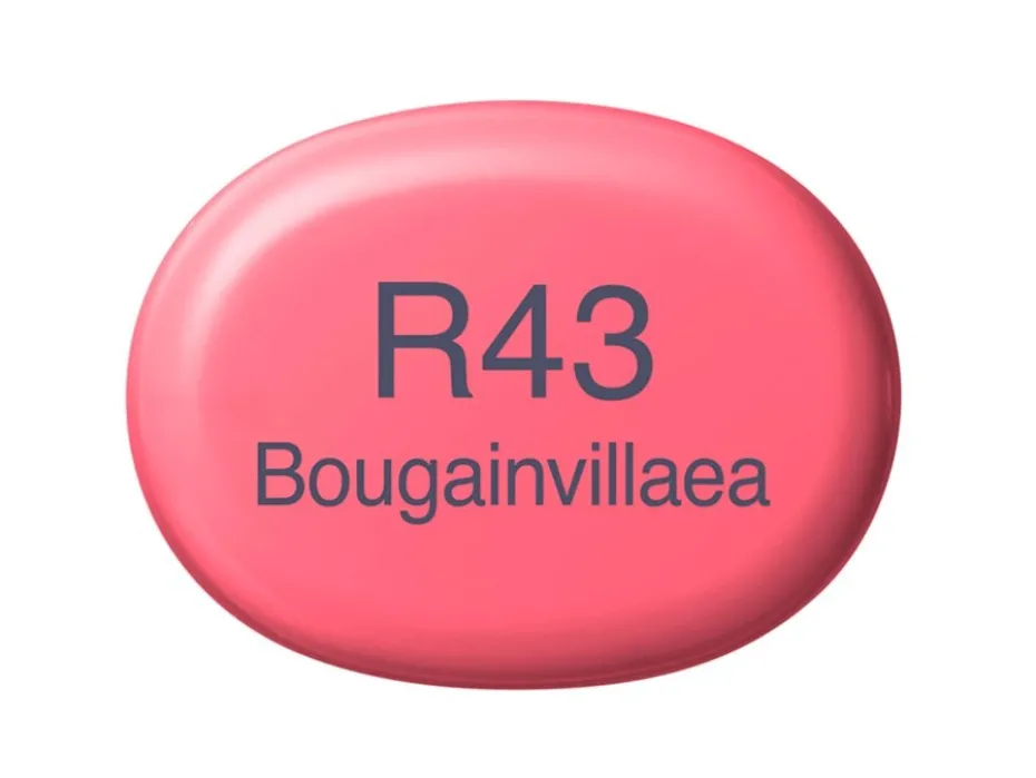 Copic Marker Sketch – R43 Bougainvillaea