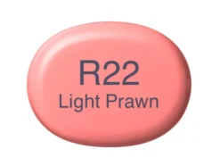 Copic Marker Sketch – R22 Light Prawn