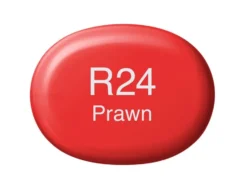 Copic Marker Sketch – R24 Prawn