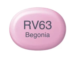 Copic Marker Sketch – RV63 Begonia