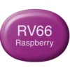 Copic Marker Sketch – RV66 Raspberry