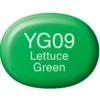 Copic Marker Sketch – YG09 Lettuce Green