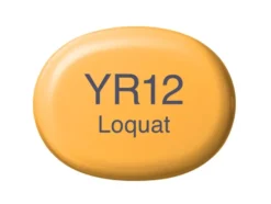 Copic Marker Sketch – YR12 Loquat