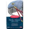 Derwent Pastel Blyant Sett 12stk