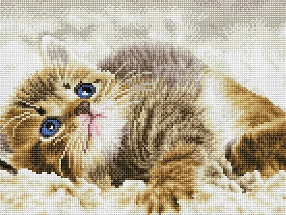 Diamond Dotz Squares DQ8 – Baby Pie
