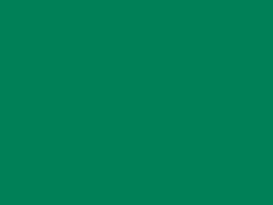 Eclair Glidelås Plast S2 60cm – 475 Grønn