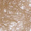 Englepapir Sizoflor 8cm x 25m – Bronse