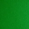 Fabriano Colore 50x70cm 200g – 231 Verde / Green