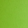 Fabriano Colore 50x70cm 200g – 230 Verde Pisello / Pea