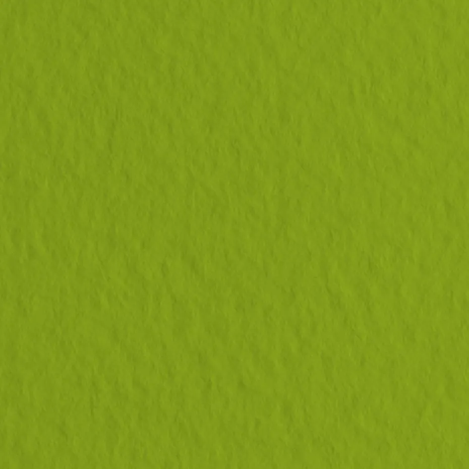 Fabriano Tiziano 50x65cm – 43 Pistacchio