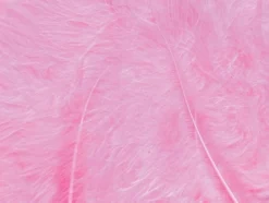 Fjær 15 stk Rosa