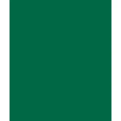 Folia Fotokartong 50×70 – 300g – 58 Grangrønn