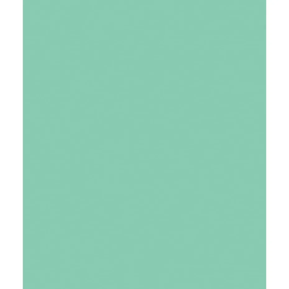Folia Fotokartong 50×70 – 300g – 25 Mint