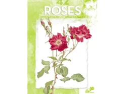 Leonardo 42 Roses