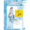 Leonardo 3 The fundamentals of Drawing