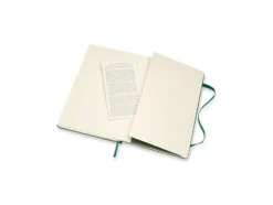 Moleskine Classic Notebook Hard L – Blank Myrtle Green