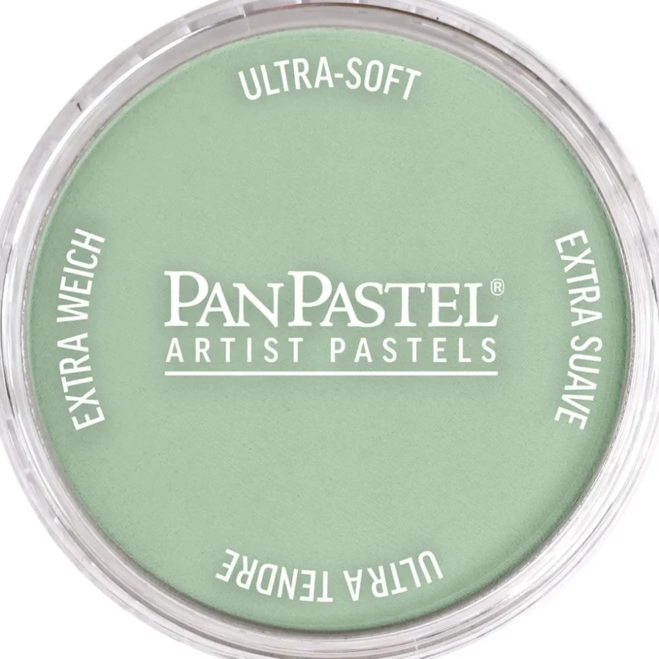 PanPastel – 8026608 660.8 Chromium Oxide Green Tint