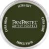 PanPastel – 8026603 660.3 Chromium Oxide Green Sh.