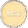 PanPastel – 8029105 910.5 LT Gold
