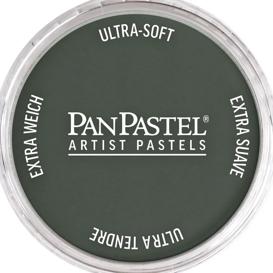 PanPastel – 8028202 820.2 Neutral Gray Extra Dark