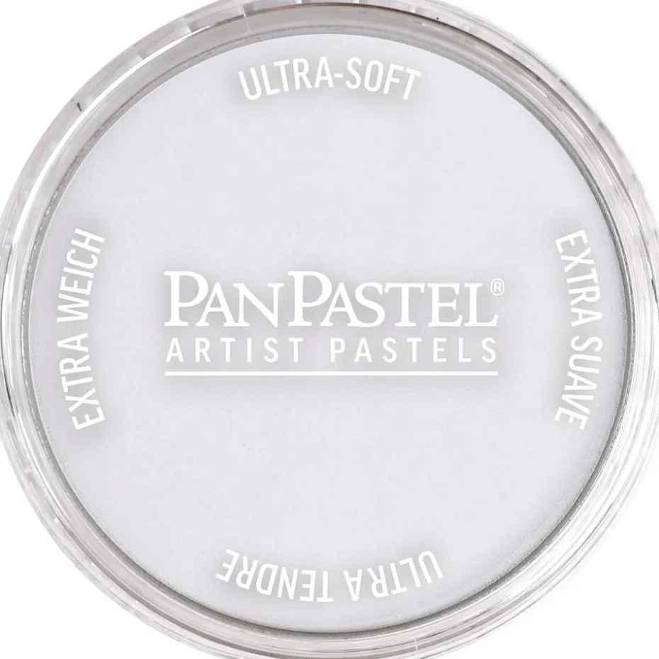 PanPastel – 8028408 840.8 Payne’s Gray Tint