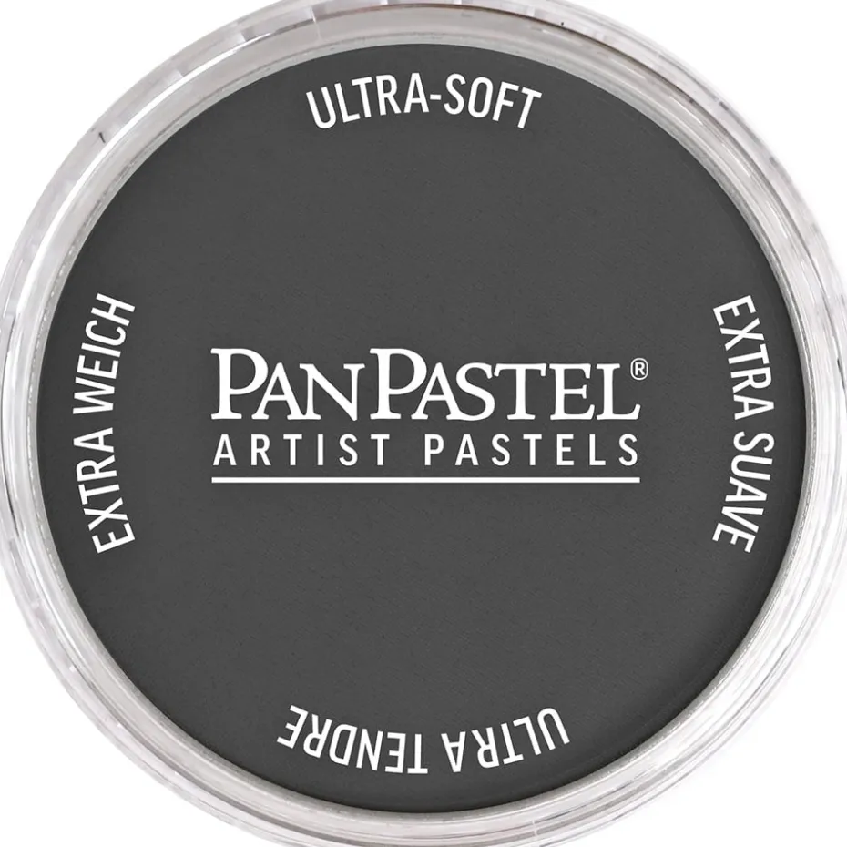 PanPastel – 8020013 013 Pearl Medium Black F