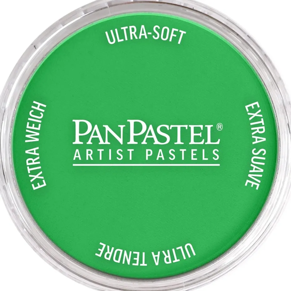 PanPastel – 8026405 640.5 Permanent Green