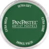 PanPastel – 8026401 640.1 Permanent Green Extra Dark