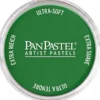 PanPastel – 8026403 640.3 Permanent Green Sh.