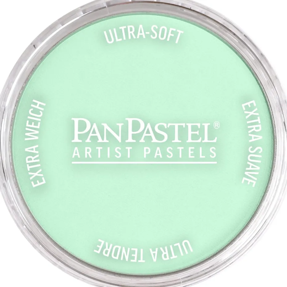 PanPastel – 8026408 640.8 Permanent Green Tint