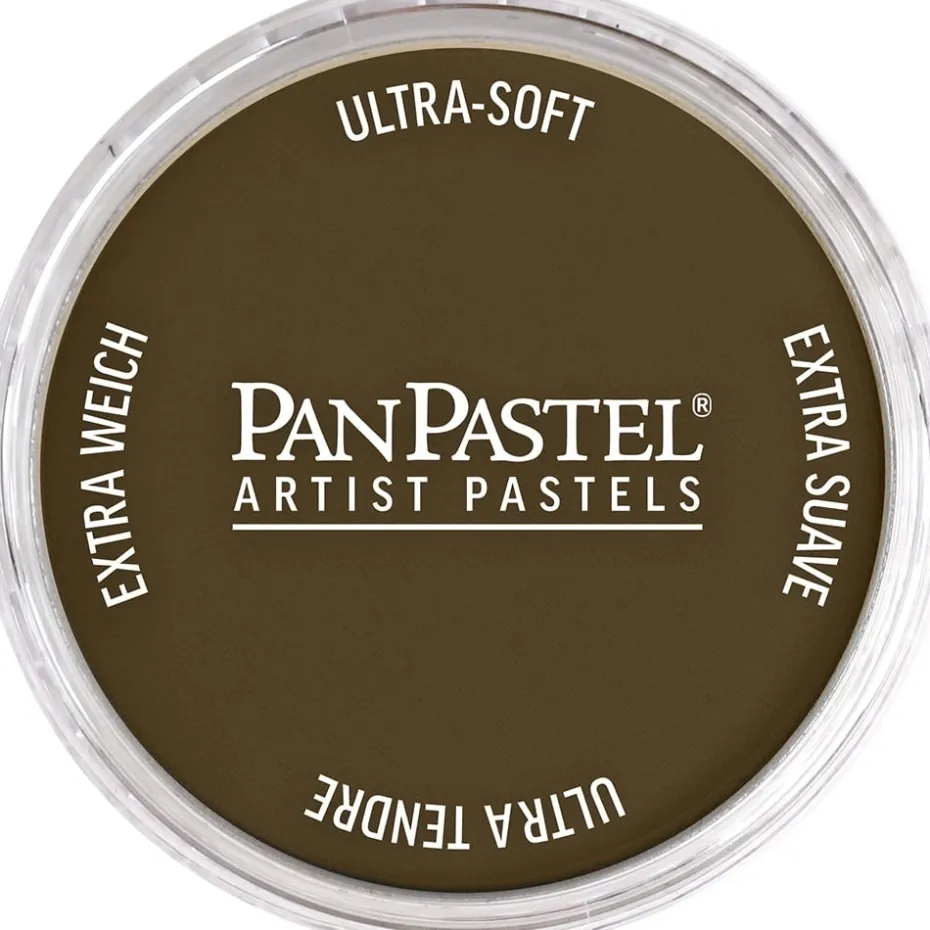 PanPastel – 8027805 780.5 Raw Umber