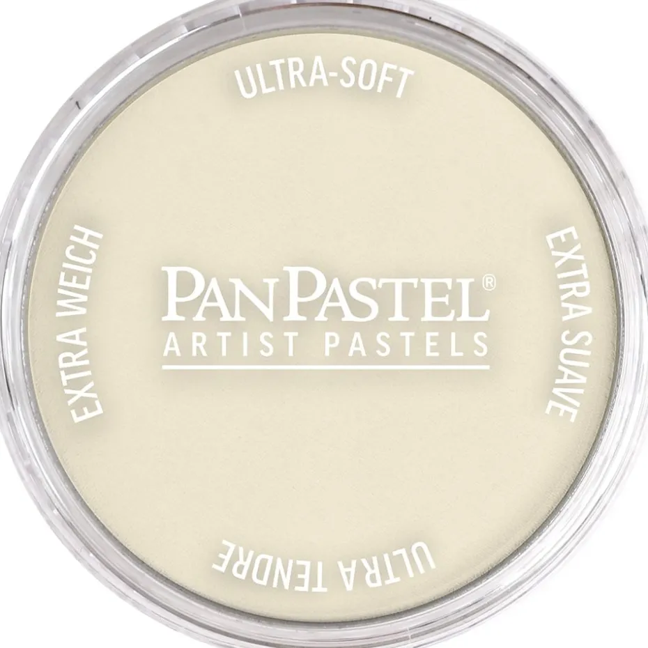 PanPastel – 8027808 780.8 Raw Umber Tint