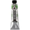 Rembrandt Akryl 40ml – 618 Permanent green light