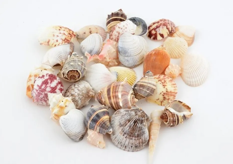 Skjellmix store ca 250g