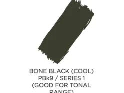 Speedball AKUA Intaglio ink 237ml – Bone black