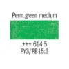 Van Gogh Oljepastell 614,5 Permanent green medium