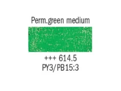 Van Gogh Oljepastell 614,5 Permanent green medium